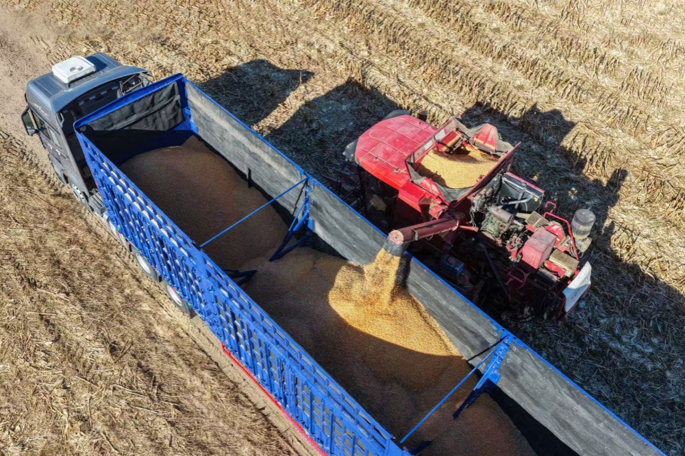 1763778047122449.jpg 5.科尔沁区玉米收割。记者 张启民 摄.jpg