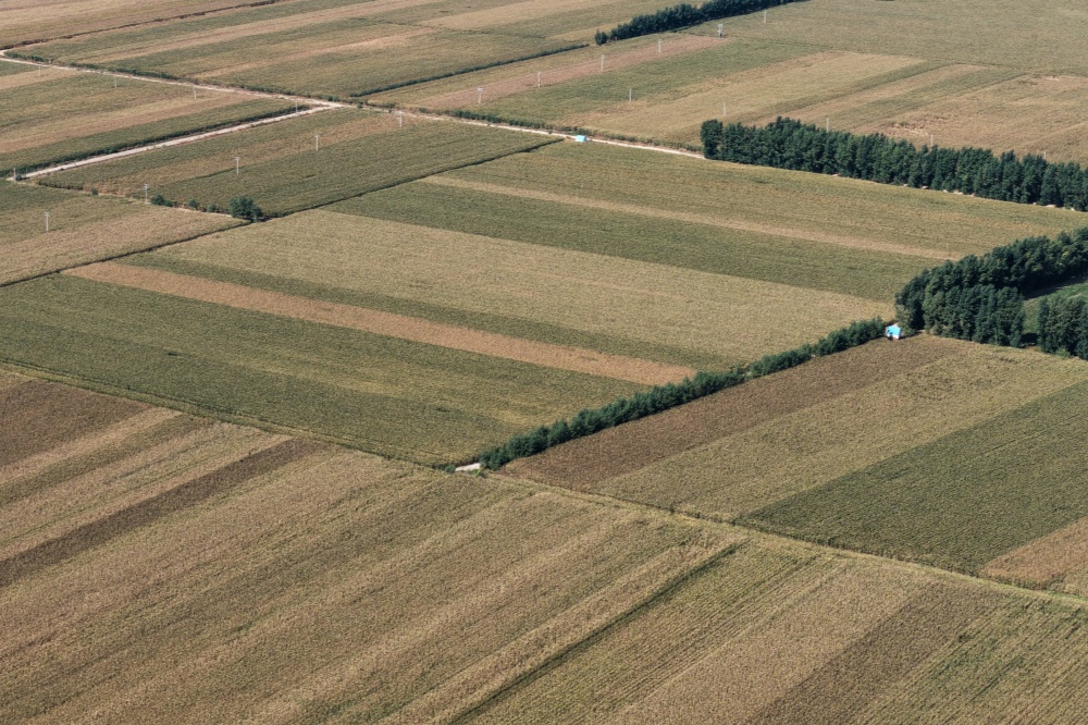 1763778072768122.jpg 6.开鲁秋田如画.jpg