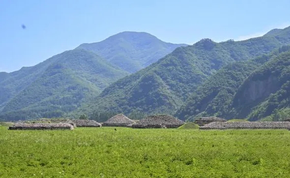 1555241144075496.jpg 20251202_154953_004.jpg