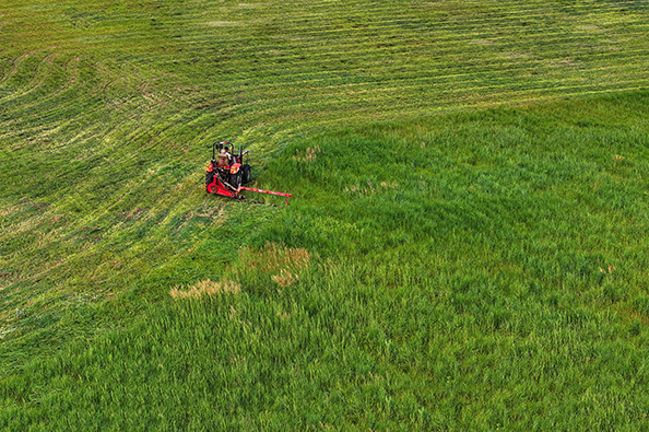 1765334302379897.jpg 4.jpg