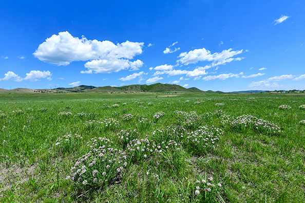 1765334345331652.jpg 3.jpg