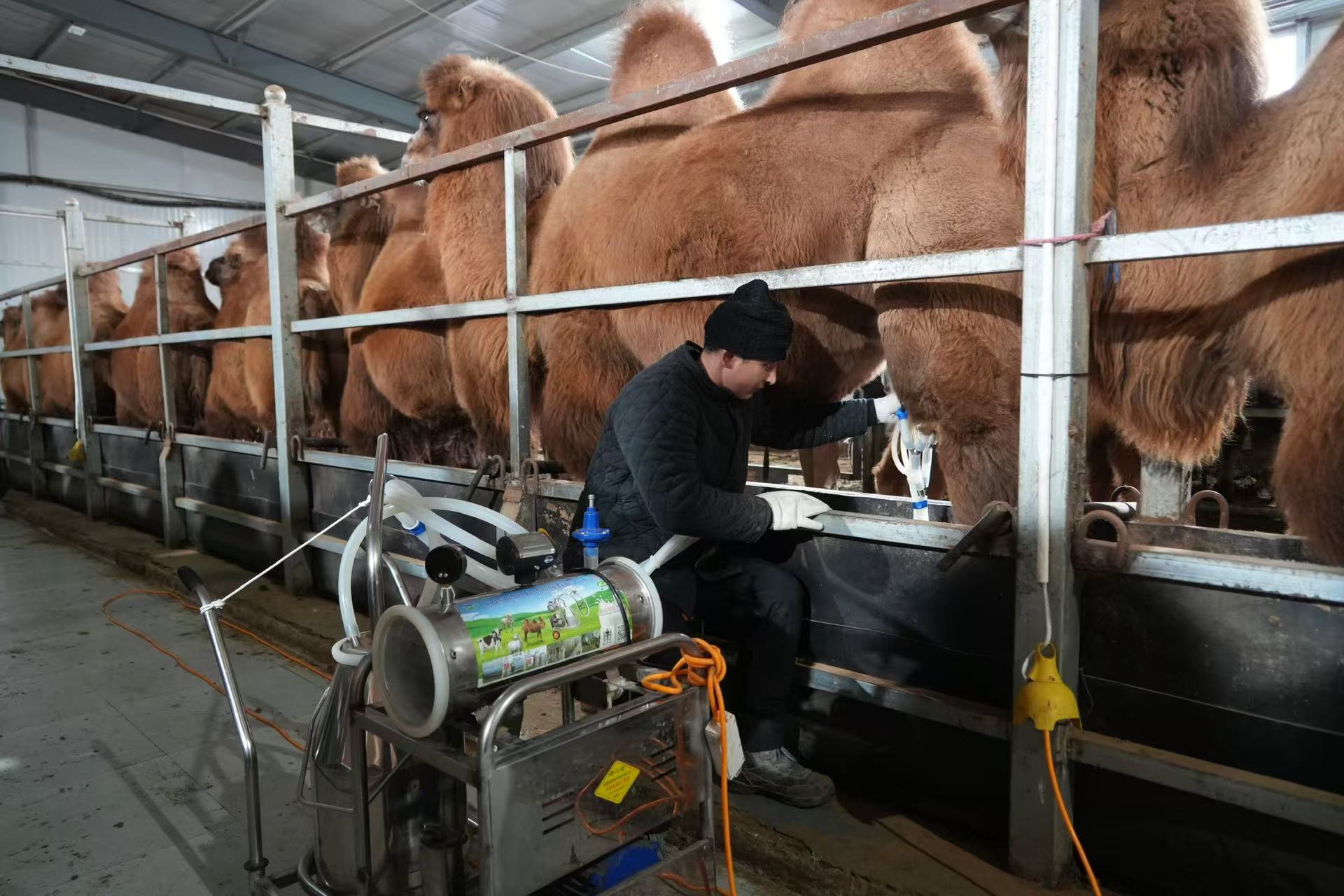 mmexport1766459544957