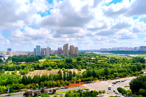 1767770781631585.jpg 11.jpg