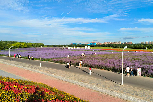 1767770795640504.jpg 33.jpg