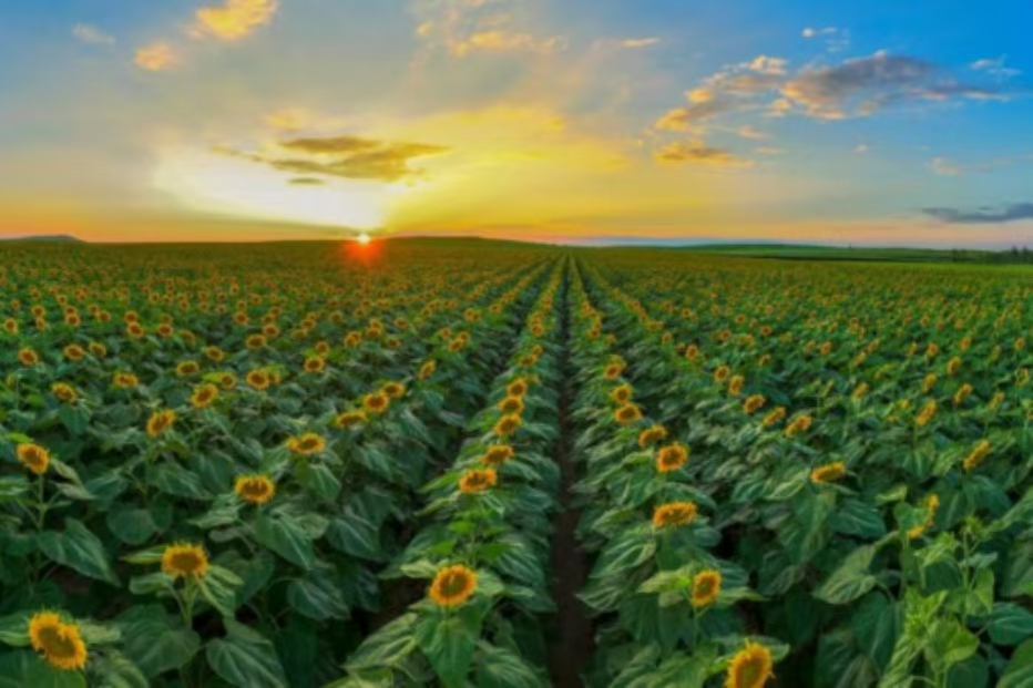 1768628055337257.jpg 微信图片_20260116145306_433_16.jpg