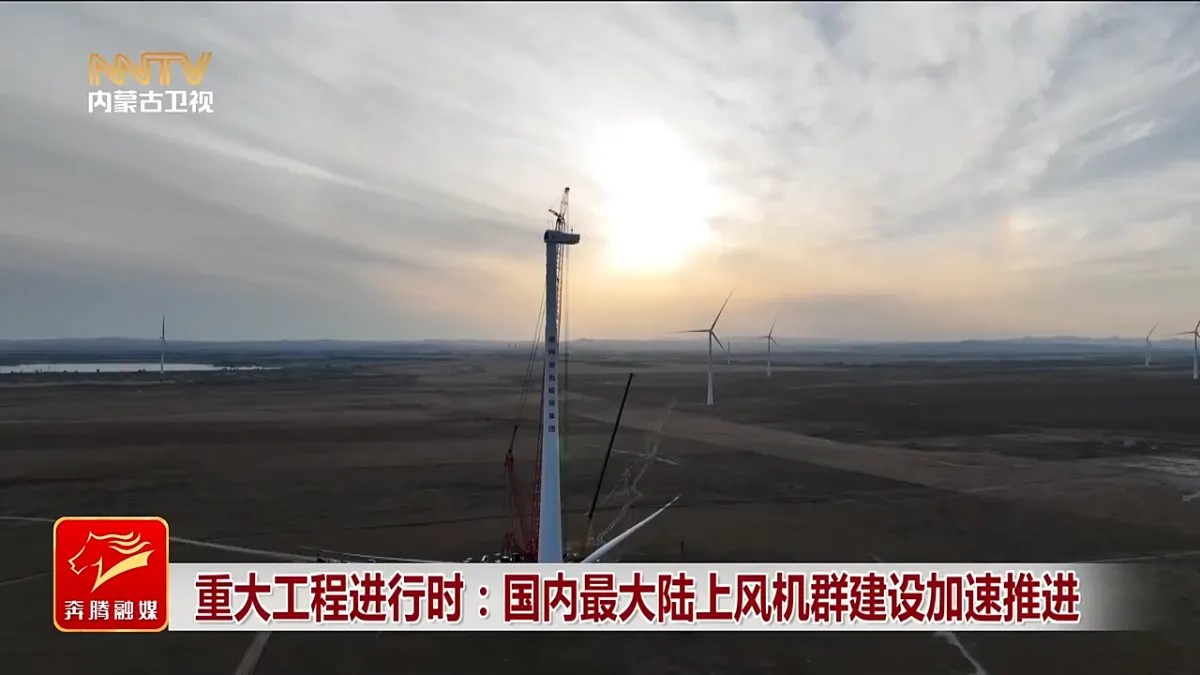 1316186343404434.jpg 1.jpg