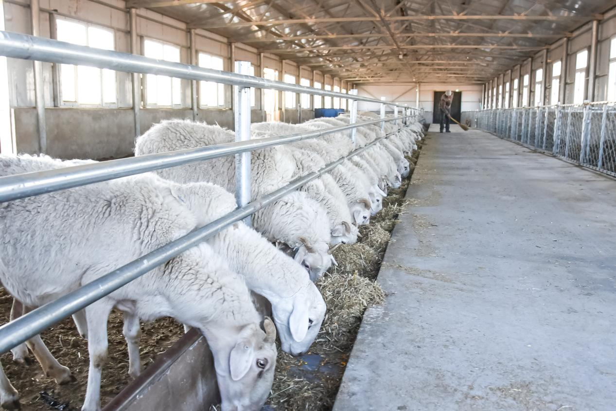 1770957331335184.png 图片1.png