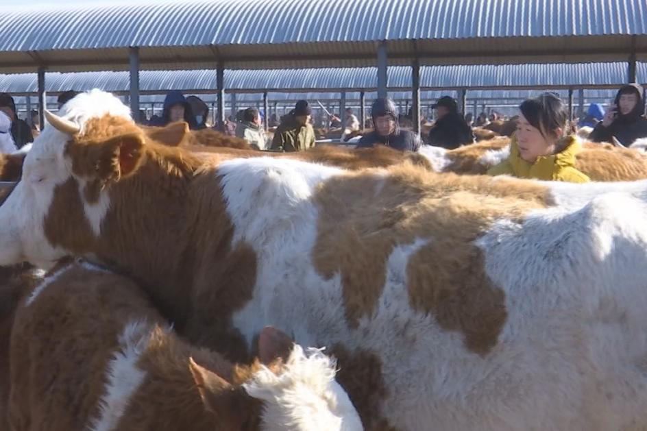 1770887061939274.jpg 图片1.jpg