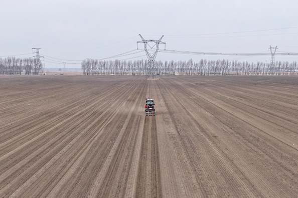 1775611529480190.jpg 1.jpg