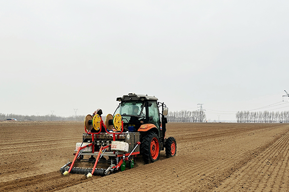 1775611554279173.jpg 3.jpg