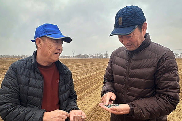 1775611541815548.jpg 2.jpg