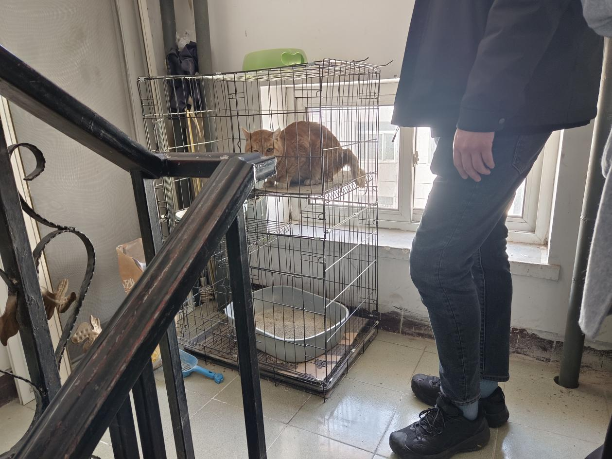 1638258022141617.png 图片10.png