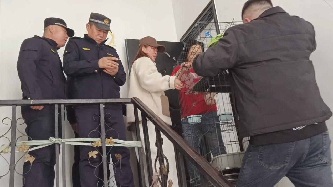 1638377751732381.png 图片11.png