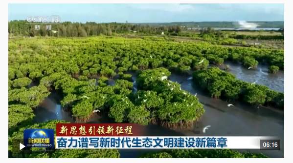 QQ_1779159197025.png