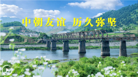 QQ_1780878771307.png