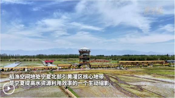 QQ_1782089934459.png