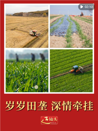 QQ_1782612390895.png
