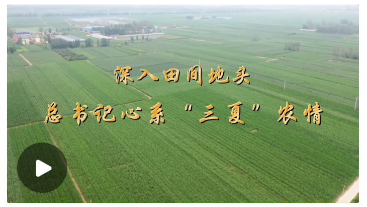 QQ_1782709505035.png