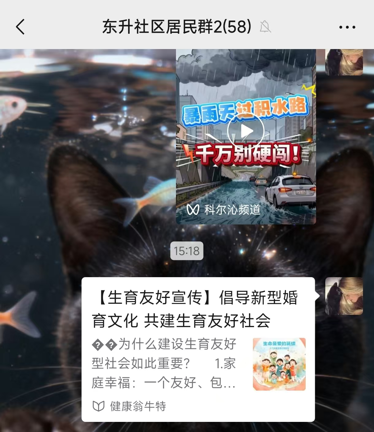 1049058639301433.png 0101.png