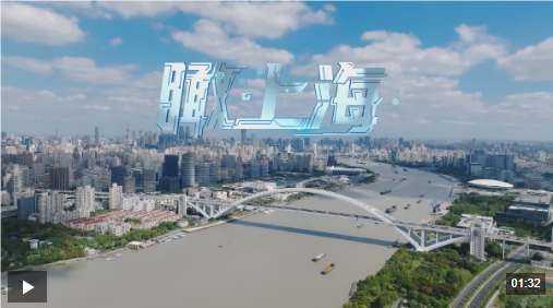 QQ_1784118846907.png