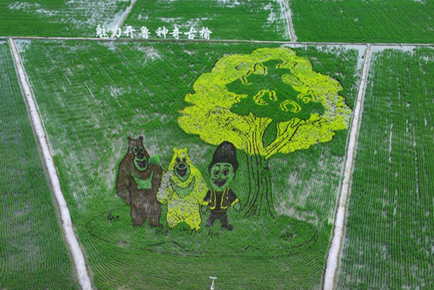 图片 1_副本.jpg