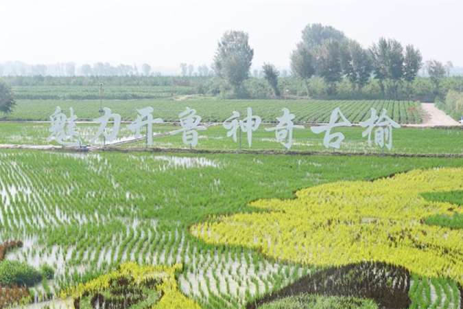 图片 4_副本.jpg