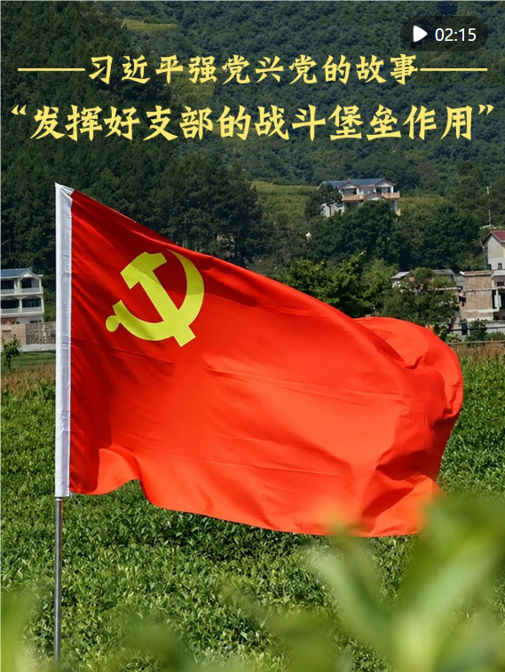 QQ_1787449472416.png