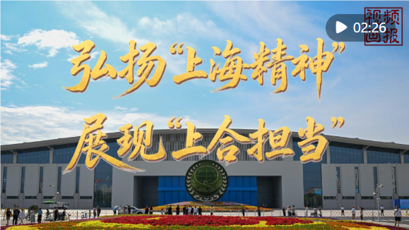 QQ_1787798558007.png