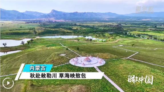 QQ_1788743785427.png