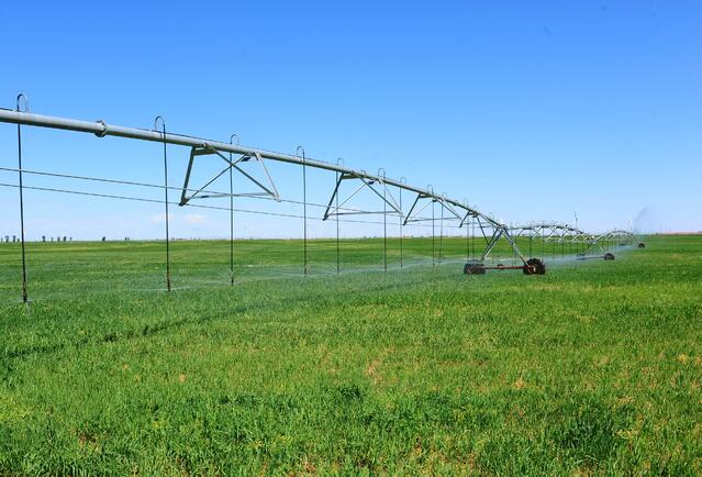 粮仓更实肉库更足我市加快打造现代农牧业强市