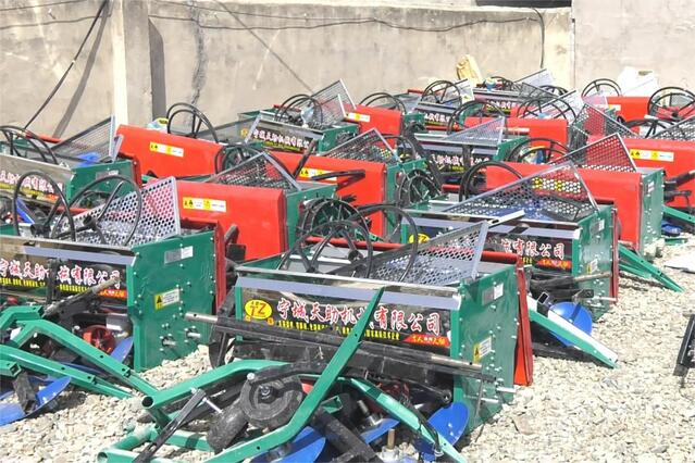 鲁北镇宝楞村村民曾大鹏今年打算种植140亩覆膜玉米.