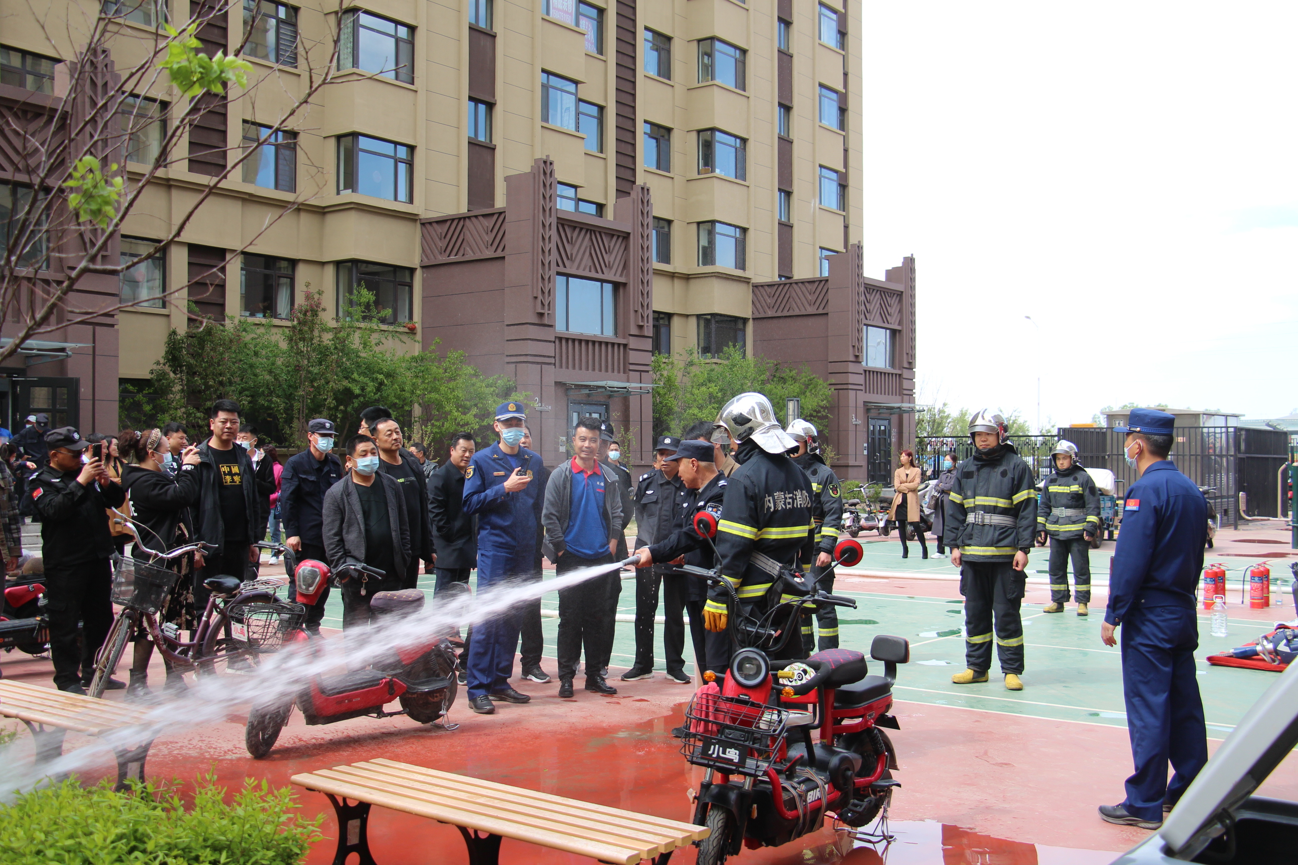 1710532498127894.jpg 50.jpg