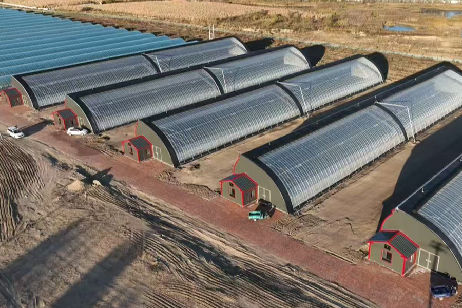 1744799643970256.jpg f7661c8a4daee4b0c6de258d3ea5275.jpg