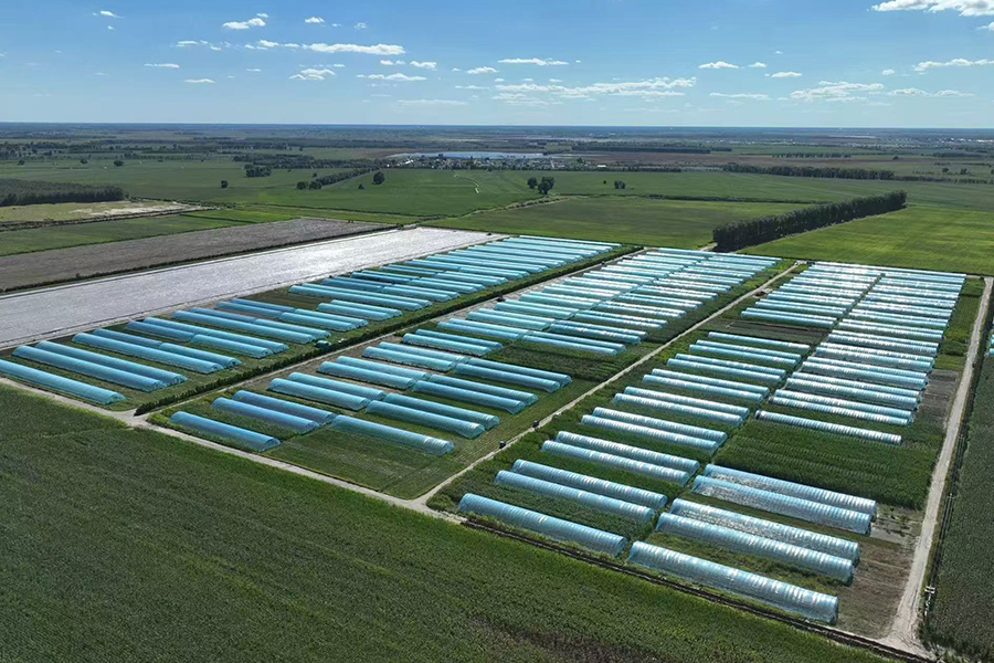 1744799620119737.jpg 09f8255d3d31cde1687833050e5c6a7.jpg