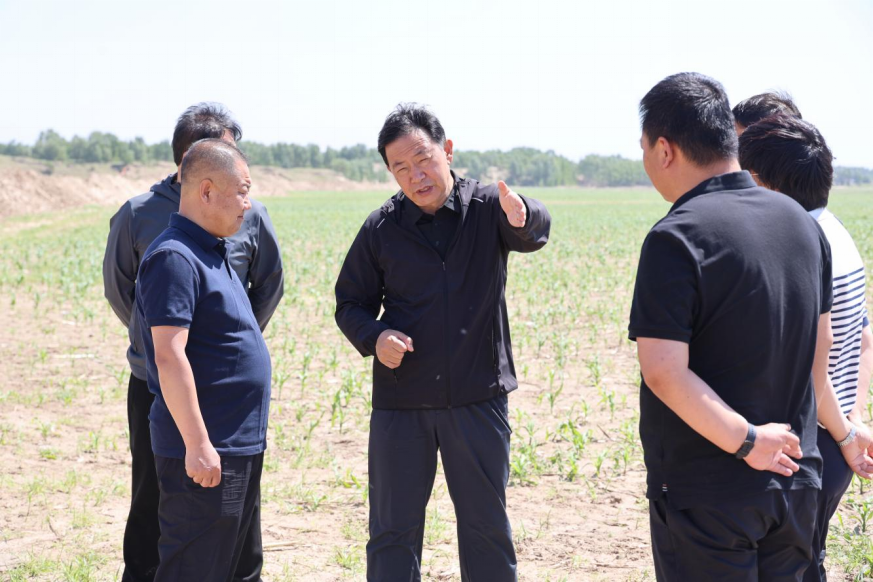 微信图片_20250609113025.png