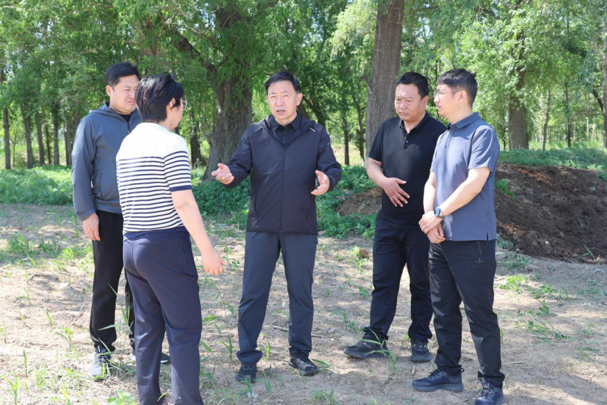 微信图片_20250609113030.png