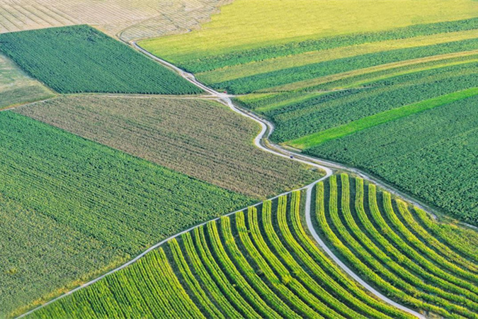 1761566186264951.jpg 微信图片_20251027192852_420_2.jpg