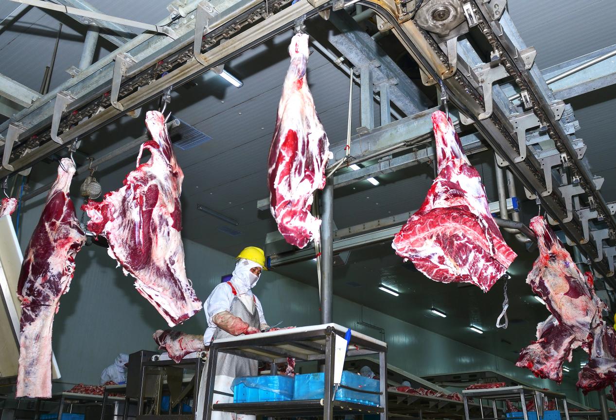 1761566222297772.jpg 微信图片_20251027192901_423_2.jpg