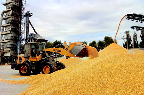 1761813308371140.jpg 2222.jpg