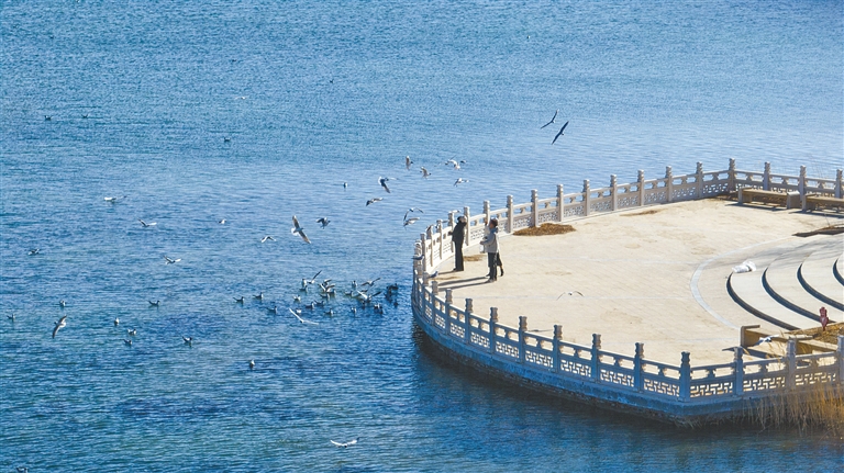 1001035911898687.jpg 4557936_an_1774418203658_s.jpg