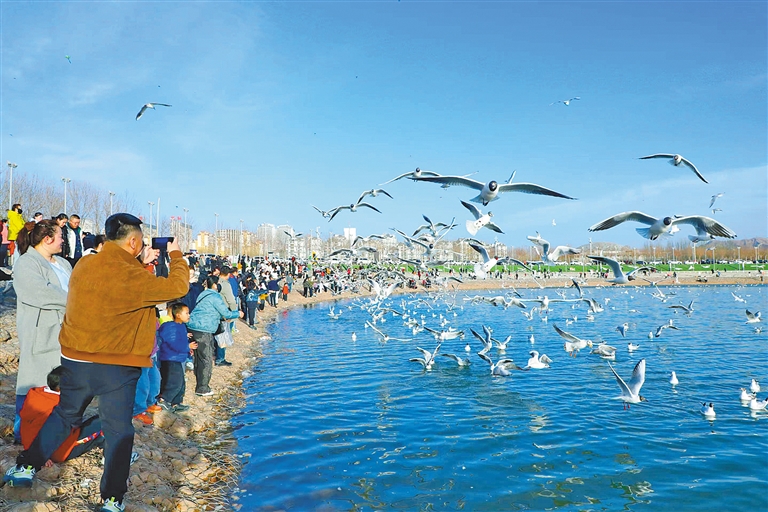 1001593734788723.jpg 4557934_an_1774418047080_s.jpg