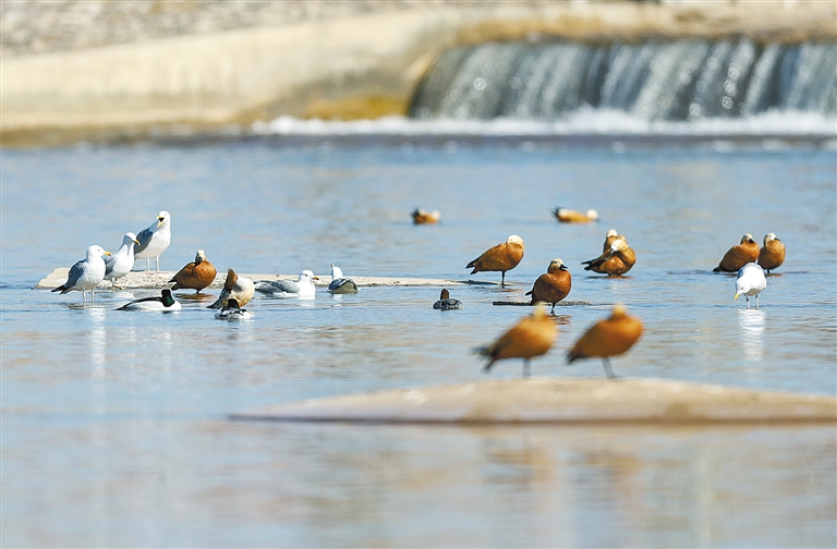 1012166773072579.jpg 4557935_an_1774418123236_s (1).jpg