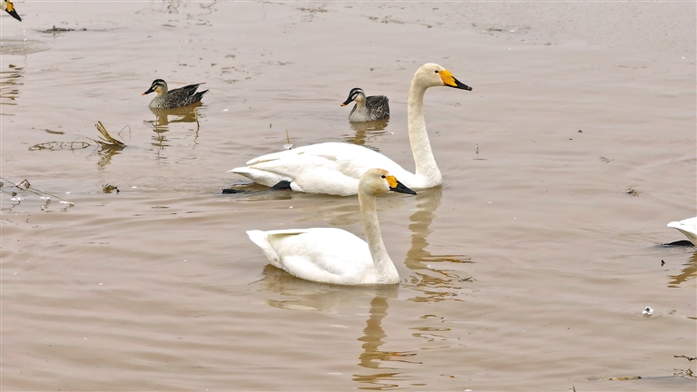 1012309595665141.jpg 4557938_an_1774418322112_s.jpg