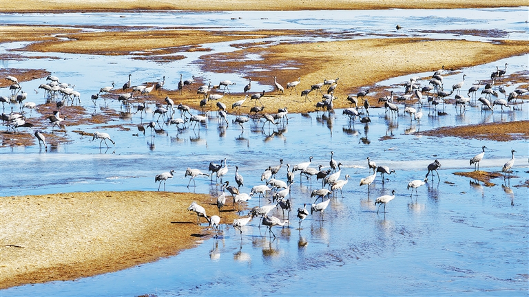 1013106806672117.jpg 4557939_an_1774418373955_s.jpg