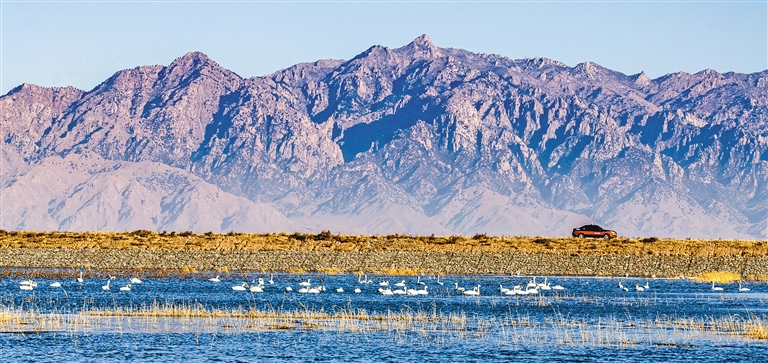 1013295193892747.jpg 4557937_an_1774418255486_s.jpg