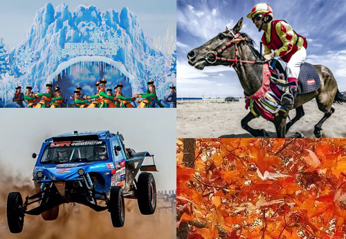 1613297620491898.jpg 13.jpg