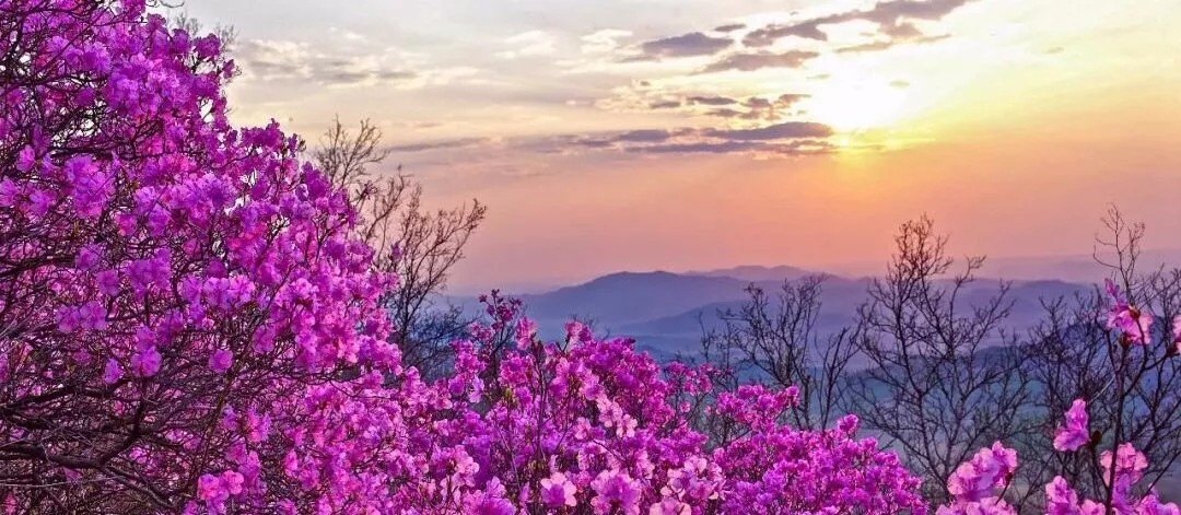 0913473756072004.jpg 0913473756072004.jpg