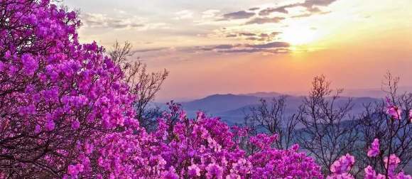 0913362873439598.png 0913362873439598.png