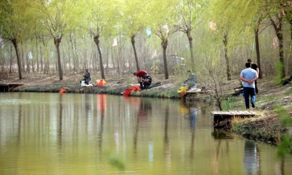 0914509152714965.png 0914509152714965.png