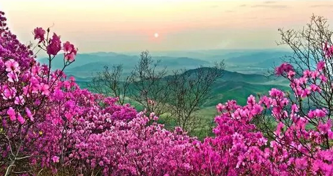 0924529934578310.png 0924529934578310.png